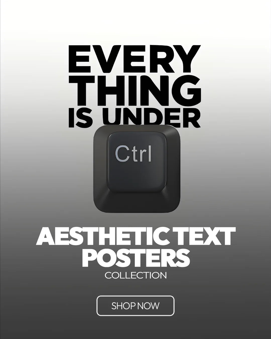 AESTHETIC-TEXTS-POSTERS BLUMUN
