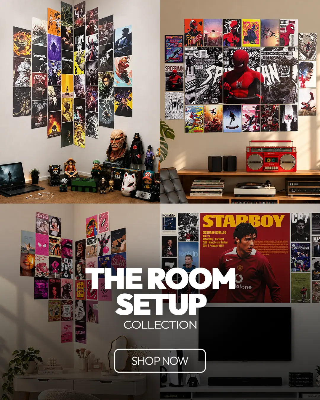 THE ROOM SETUP