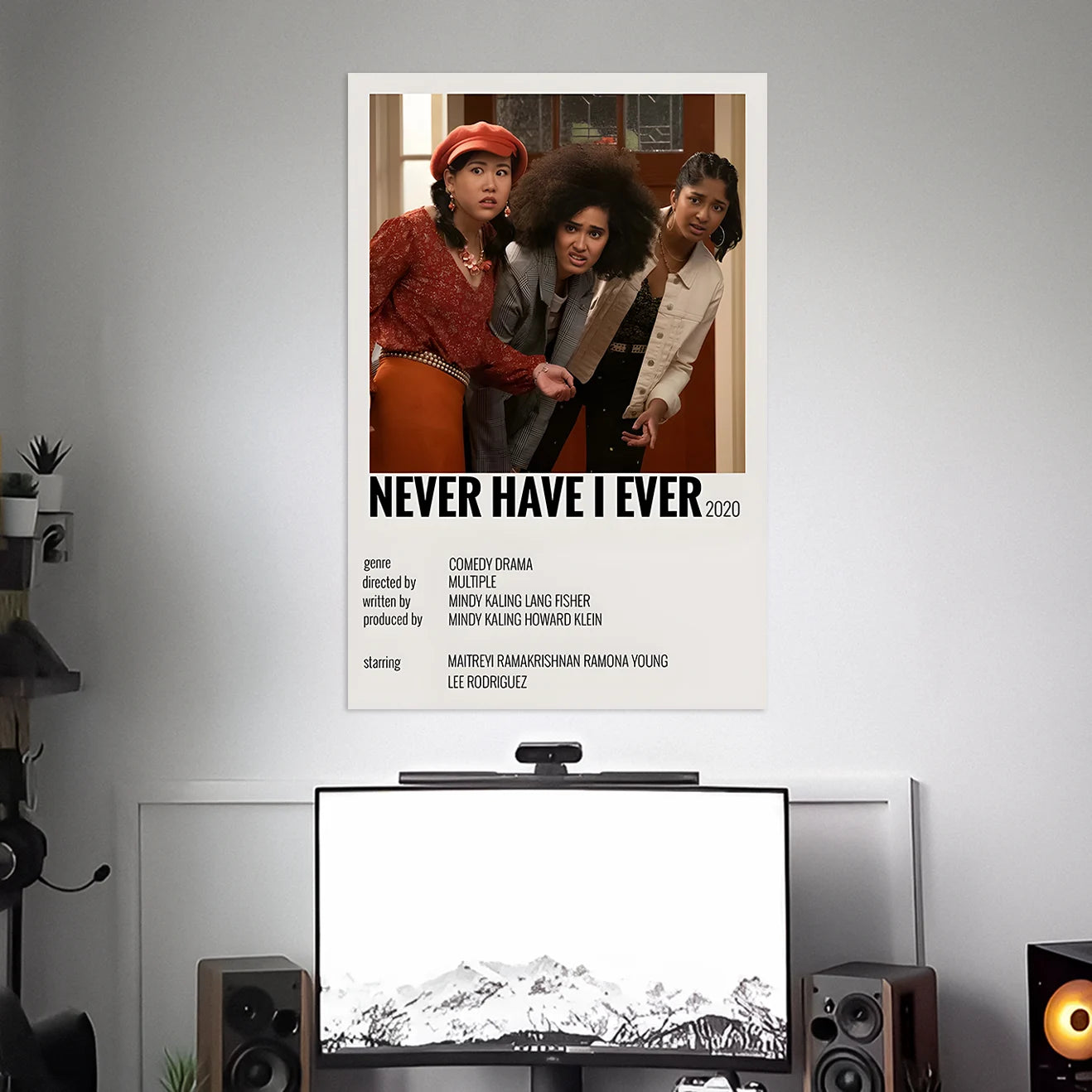 NEVER HAVE I EVER POSTER - 2 | WEB SERIES POSTERS BLUMUN