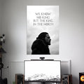 GAME OF THRONES - 20 | WEB SERIES POSTERS BLUMUN
