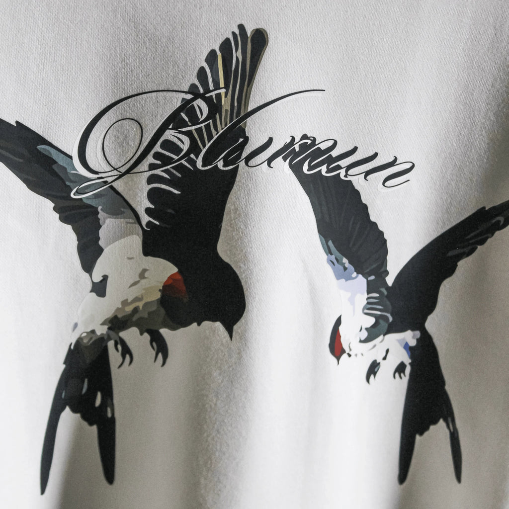 DREAMS FLIGHT OVERSIZED  T-SHIRT