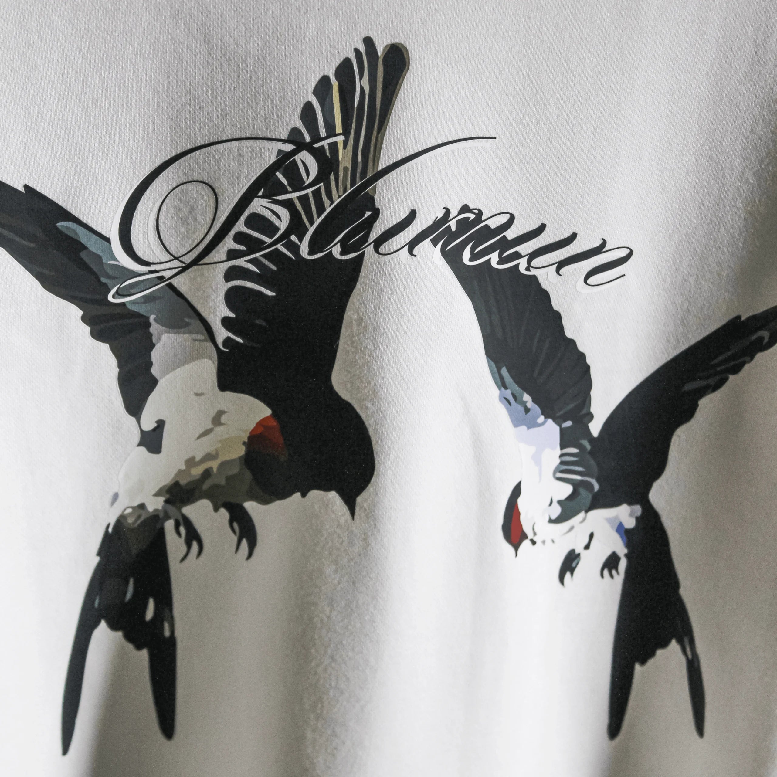 DREAMS FLIGHT OVERSIZED  T-SHIRT