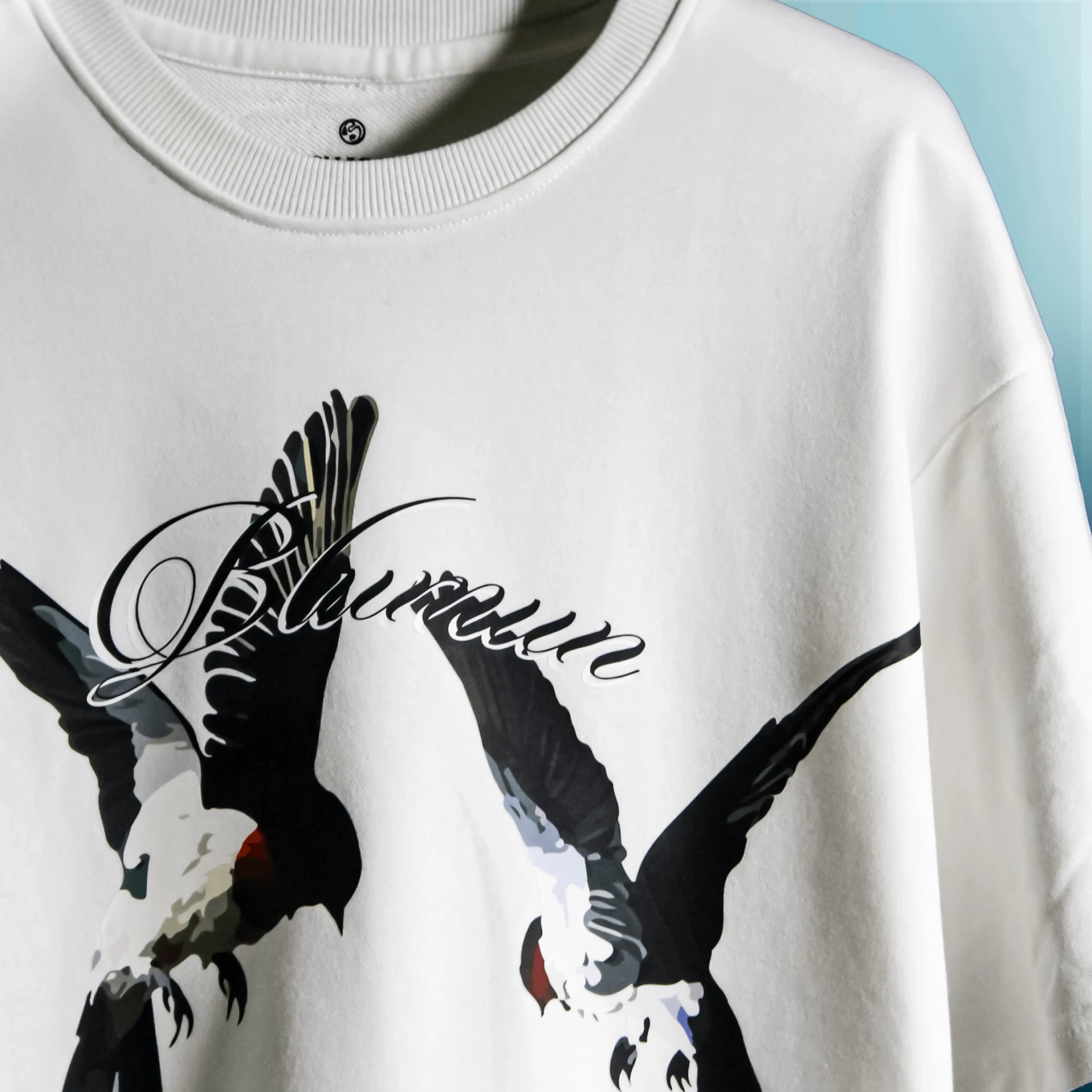 DREAMS FLIGHT OVERSIZED  T-SHIRT