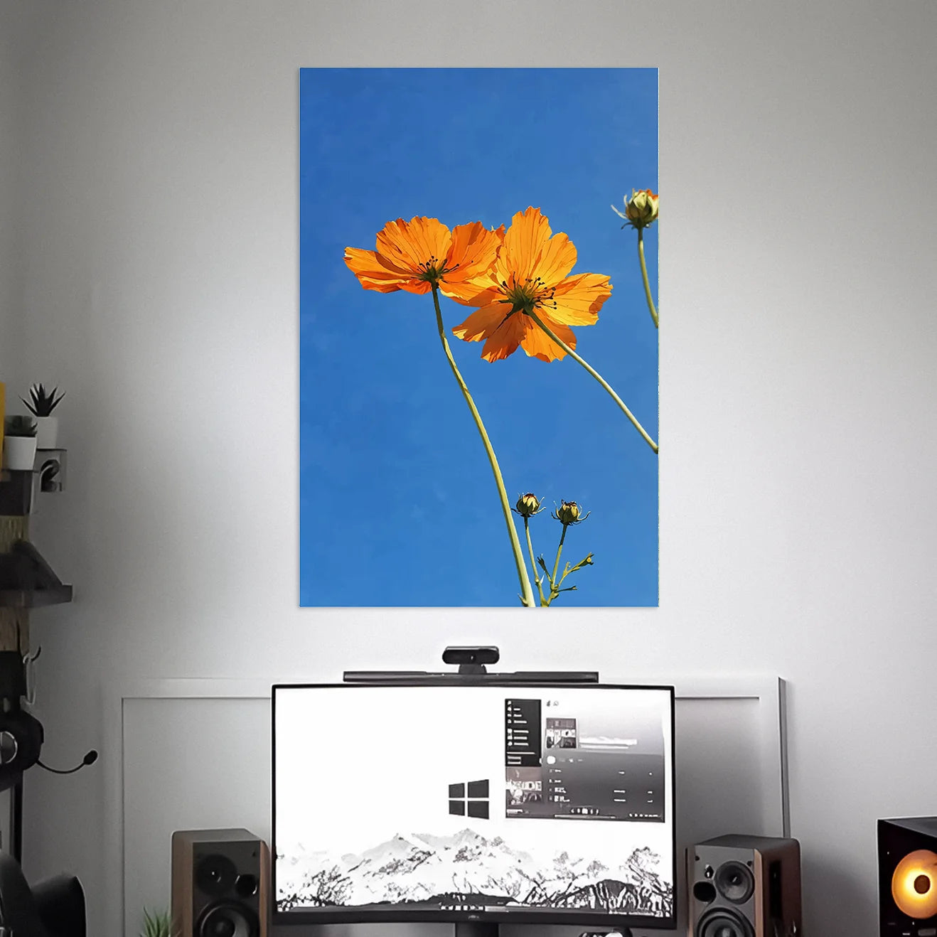 SULFUR COSMOS FLOWER POSTER | WALL ART | NATURE POSTERS