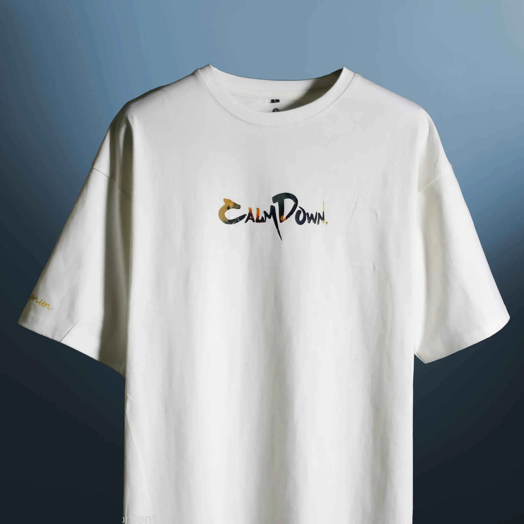 CALM DOWN NOBODY CARES OVERSIZED T-SHIRT