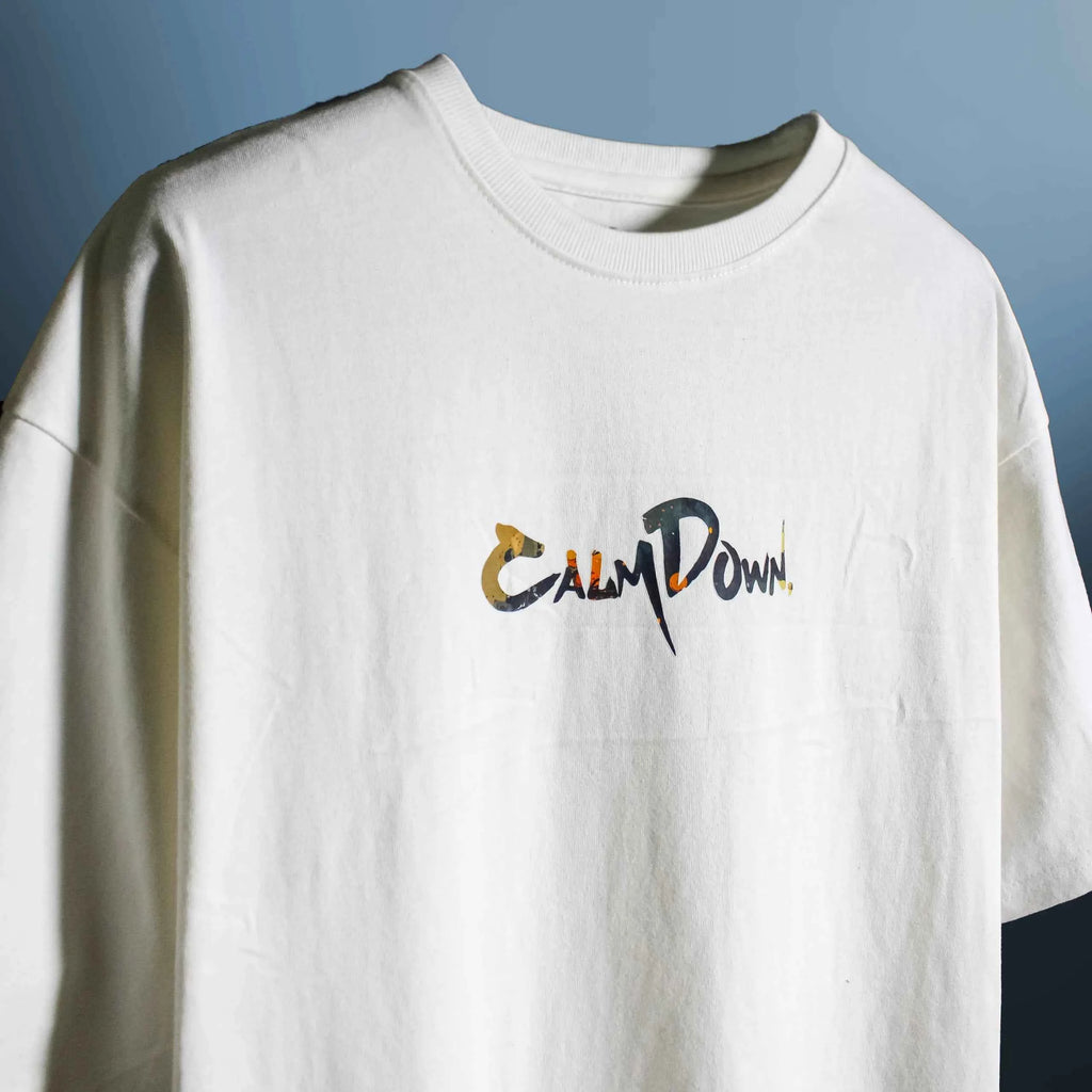 CALM DOWN NOBODY CARES OVERSIZED T-SHIRT