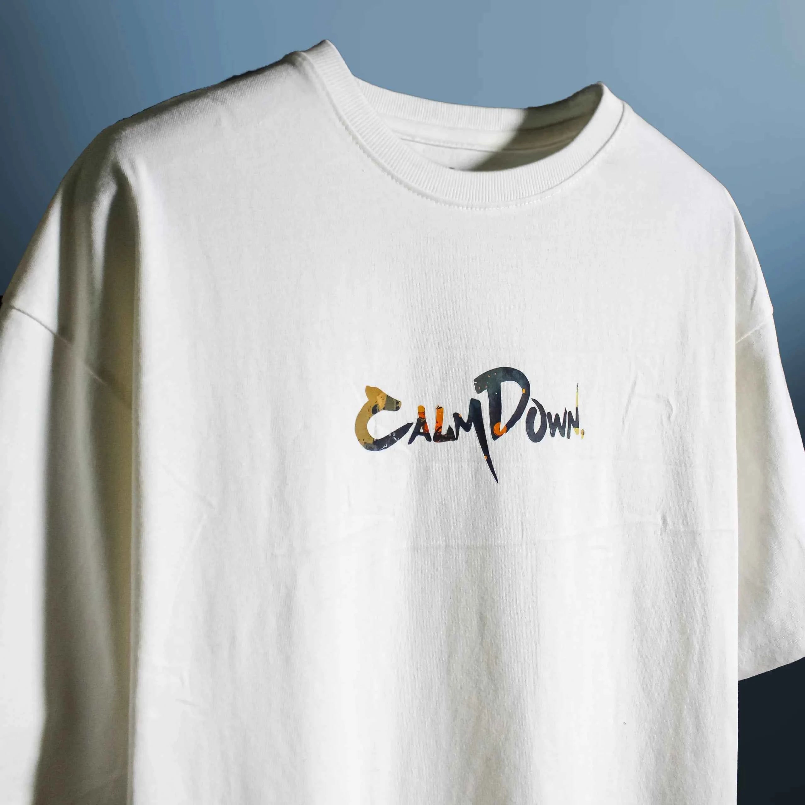 CALM DOWN NOBODY CARES OVERSIZED T-SHIRT